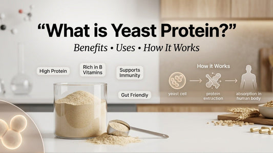 What Is Yeast Protein? Benefits, Uses & How It Works - Ripped Up Nutrition