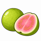 Guava