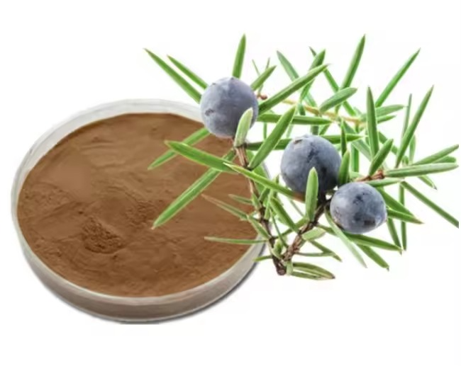 Juniperus Berry Extract