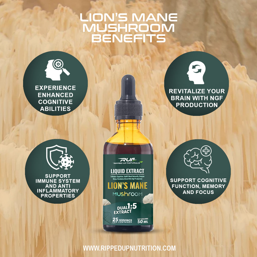 Lion's Mane Mushroom Liquid Extract