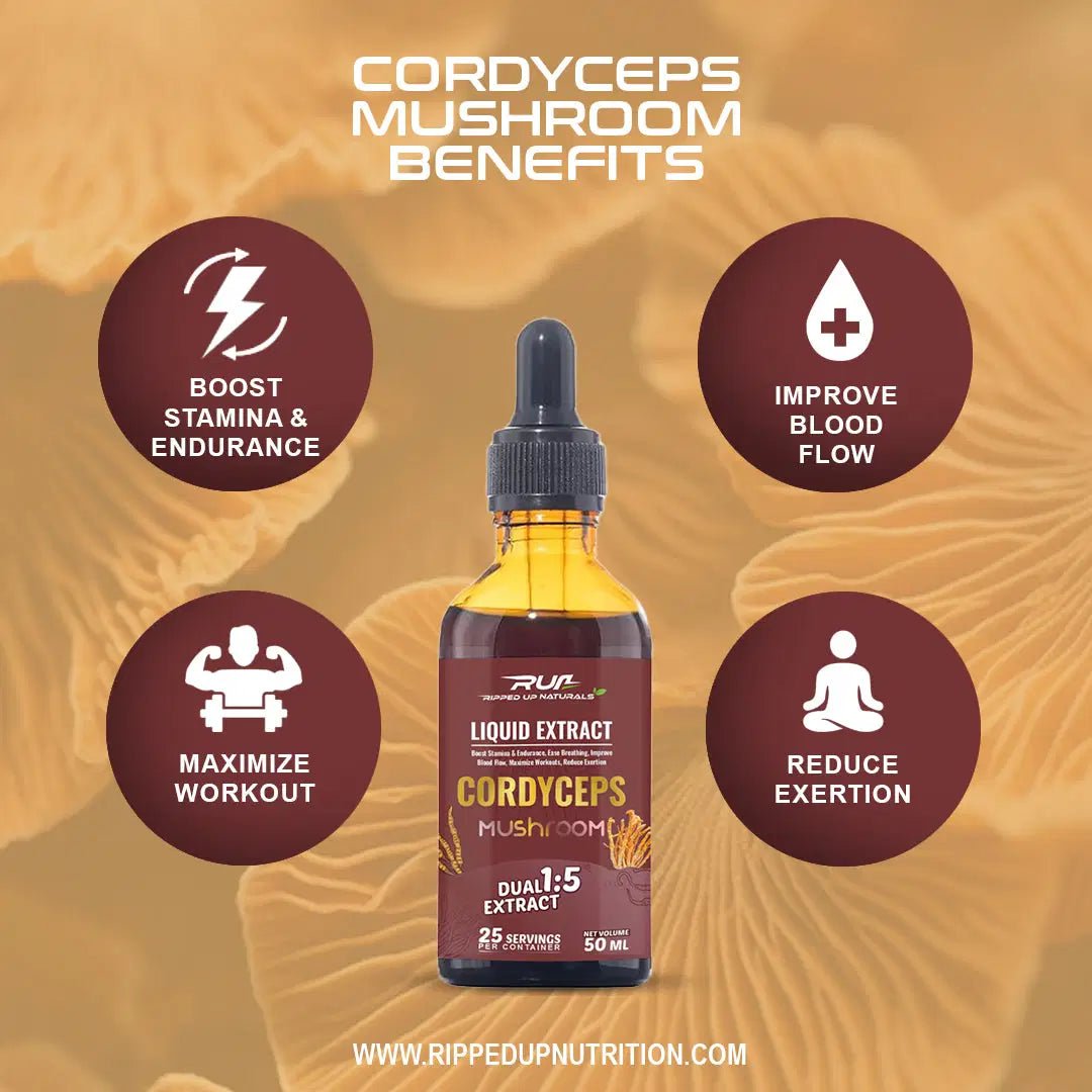 Cordyceps Mushroom Liquid Extract - Ripped Up Nutrition