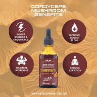 Cordyceps Mushroom Liquid Extract - Ripped Up Nutrition