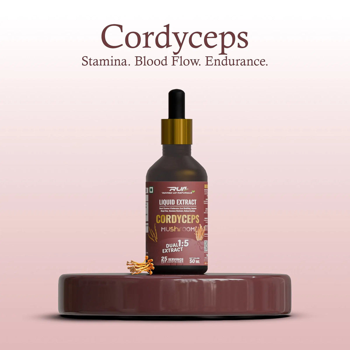 Cordyceps Mushroom Liquid Extract - Ripped Up Nutrition