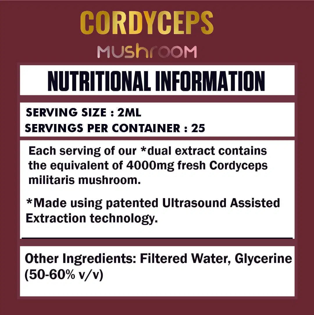 Cordyceps Mushroom Liquid Extract - Ripped Up Nutrition