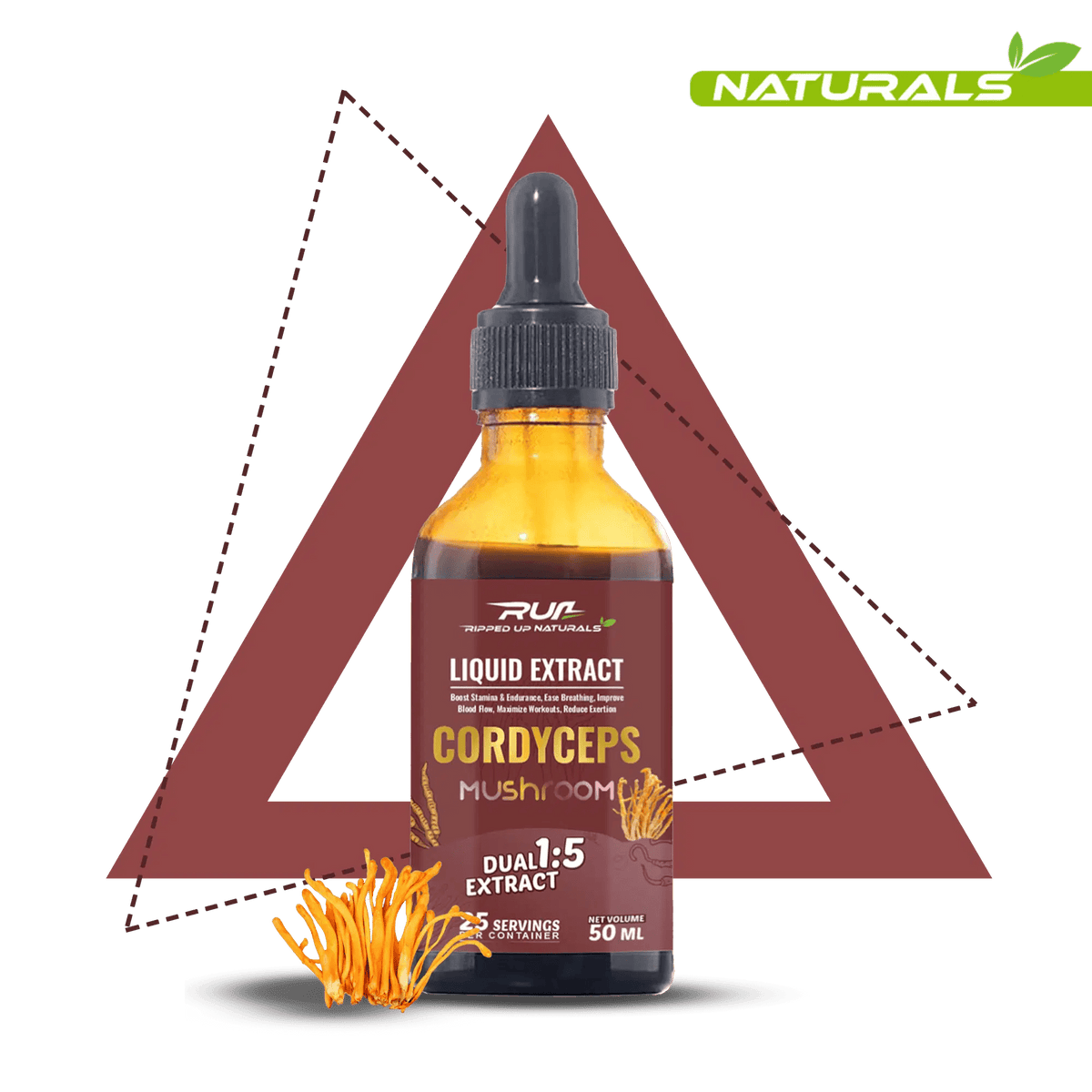 Cordyceps Mushroom Liquid Extract - Ripped Up Nutrition