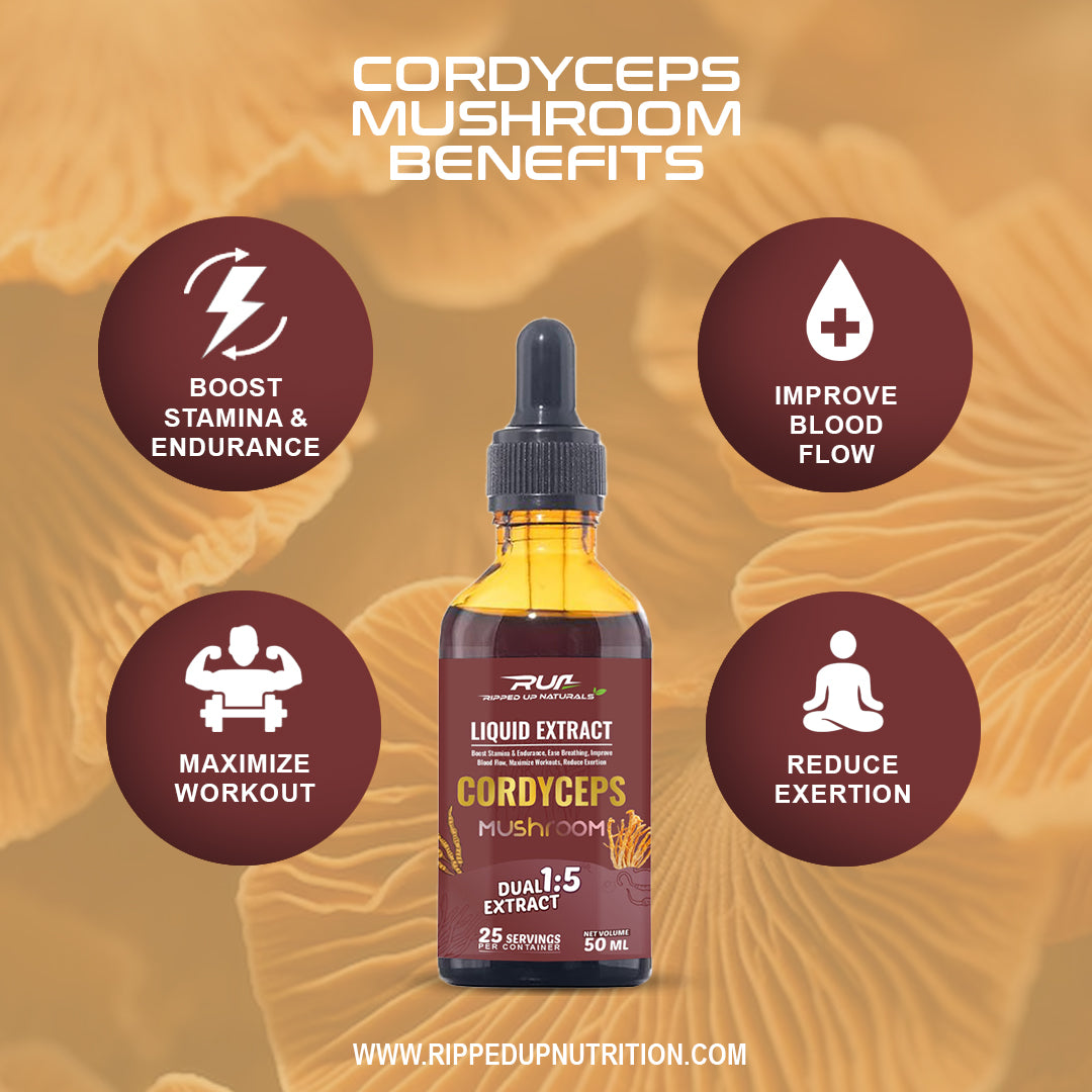 Cordyceps Mushroom Liquid Extract