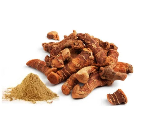 Alpinia Galanga Extract 