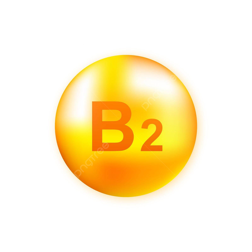 Vitamin B2(Riboflavin)