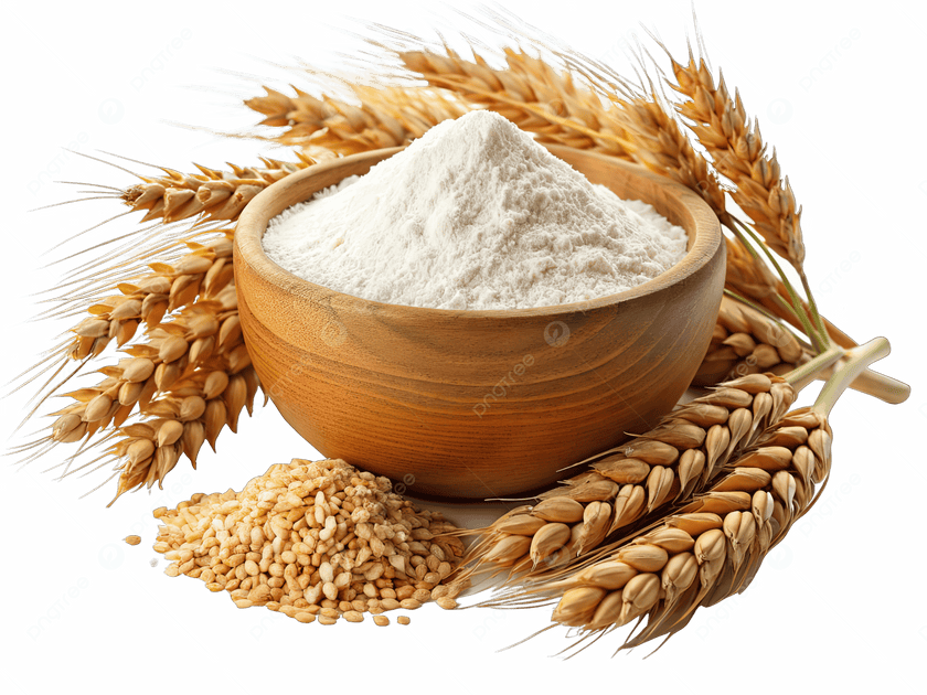 Wheat Flour